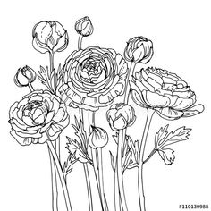 black and white drawing of flowers