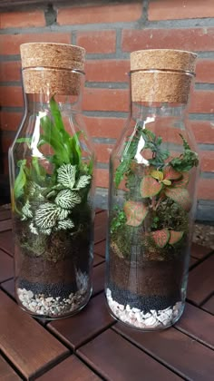 two glass vases with plants in them on a table