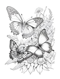 some butterflies and flowers on a white background