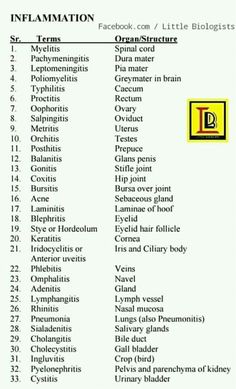 a table that has many different types of information on it, including the names and abbreviations