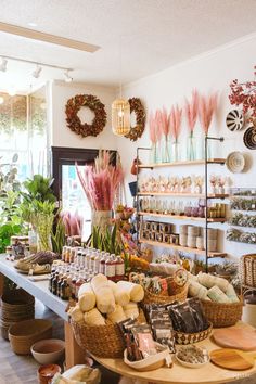 a store filled with lots of different types of items and plants on shelves next to each other