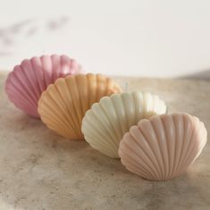 Shoppe Flora - Shell Candles homeware cottage core romantic feminine vintage inspired Diy Christmas Hats, Seashell Decor, Seashell Candles, Decor Candles, Sea Shell Decor, Coastal Christmas, Lifestyle Store, Hand Poured Candle