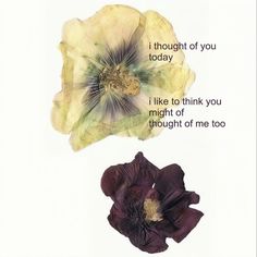 two flowers with the words i thought of you today, i like to think you might of thought of me too