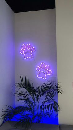 a plant in front of a white wall with blue lights and paw prints on it