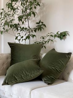 two green pillows sitting on top of a white couch next to a potted plant