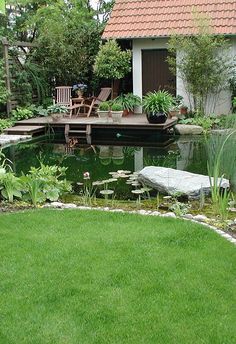 a small pond in the middle of a yard