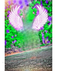 an artistic image of two white wings on a green and purple background