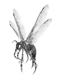 a black and white drawing of a dragonfly on a white background with the wings spread out