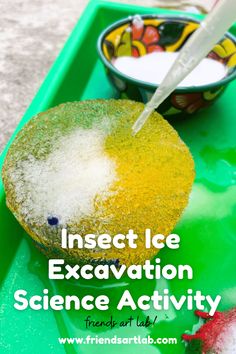 a green tray with some food on it and the words insect ice excavation science activity