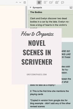 an image of a book with the title how to organize novel scenes in scrivenr