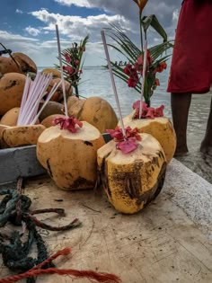 some coconuts that are sitting on a table