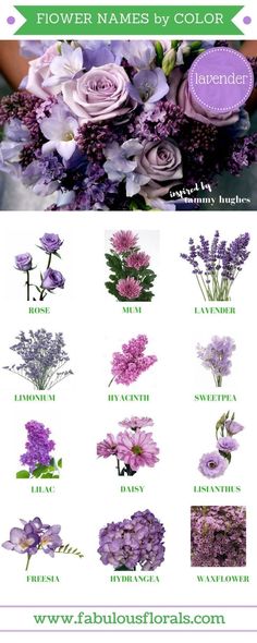 flowers that are purple and white with the names in each language on top of them