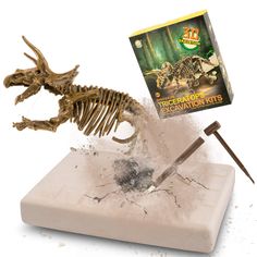 a dinosaur excavation kit is shown with an animal skeleton in the process of digging it