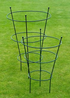 four metal circles on the grass with one standing in it's center and another sitting behind them