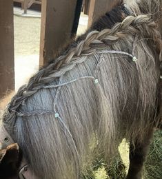 a pony with braids standing next to a fence