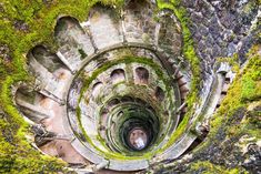 an aerial view of the inside of a spiral staircase with moss growing all over it