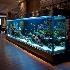 an aquarium with many different types of corals and fish in it's tank