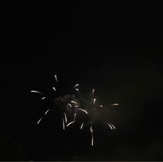 fireworks are lit up in the dark sky