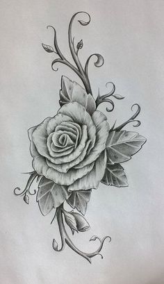 a drawing of a rose with leaves on it