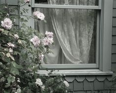 an open window with curtains and flowers in the foreground, next to a bush