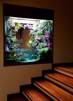 a fish tank sitting on top of a wooden stair case