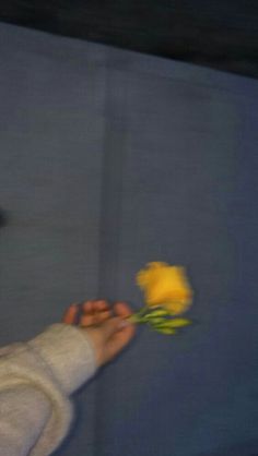 a person holding a yellow flower in their hand