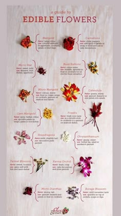 an edible flower chart is shown on a white sheet with red, yellow and purple flowers