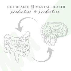 Health And Wellness Poster Design, Gut Health Graphic, Gut Health Brain Health, Holistic Health Infographic, Gut Health Diet, Holistic Diet, Prebiotics And Probiotics, Holistic Lifestyle