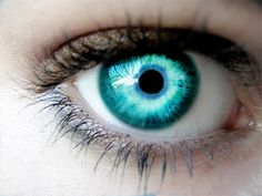 almost eery Behind Blue Eyes, Eyes Wallpaper, Human Eye, Foto Art, Contact Lenses Colored, Purple Eyes, Colored Contacts, Eye Contact, Pretty Eyes