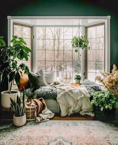 a bedroom with green walls and plants in the window sill, along with an area rug on the floor