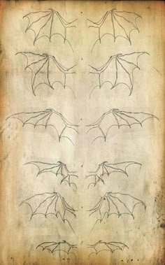 an old book with some drawings on it and writing that says, how to draw dragon wings