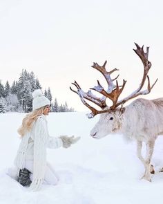 a woman kneeling down next to a reindeer in the snow