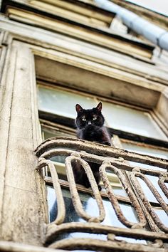 a black cat sitting on top of a window sill next to a metal railing