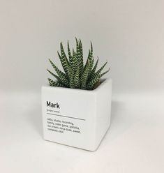 a small potted plant sitting on top of a white table