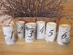 birch logs with numbers on them are sitting in front of a vase filled with branches