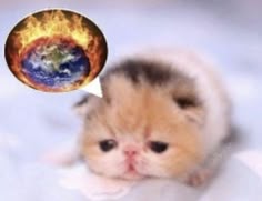 a kitten is looking at the earth with fire coming out of it's mouth