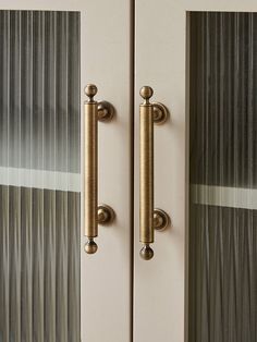 an image of two doors with handles on them