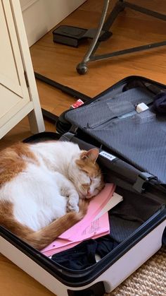 an orange and white cat sleeping in a suitcase