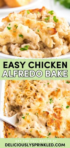 A comfort food idea in one pot! Made with rotini pasta and shredded chicken in a seasoned alfredo sauce and plenty of cheese, this yummy casserole recipe is a family-friendly dinner. Try this Easy Chicken Alfredo Bake! Bake Chicken Alfredo Oven, Prego Chicken Alfredo Recipe, Oven Baked Chicken Alfredo, Easy Rotisserie Chicken Meals, Easy Chicken Alfredo Bake, Baked Alfredo, Baked Chicken Alfredo, Chicken Alfredo Pasta Bake, Rotini Pasta Recipes