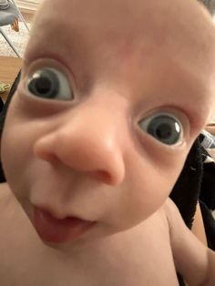 Weird Baby Pictures, Silly Baby Pictures, Funny Pix, Funny Animal Photos, Mom And Sister