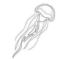 a drawing of a jellyfish