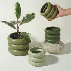 a hand is holding a green plant in front of three round vases with plants growing out of them