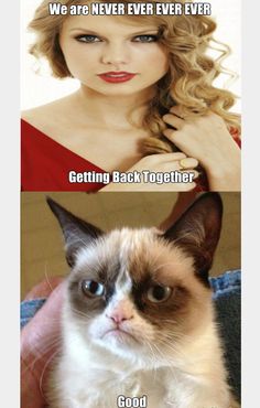 two different pictures of the same woman and one cat with caption that says, we are never ever ever getting back together good