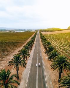 an aerial view of two cars driving down a road surrounded by palm trees and fields