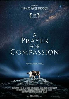 a movie poster with two cows standing on an ice floet in front of the stars