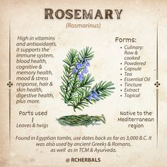 rosemary and other herbs are labeled in this poster