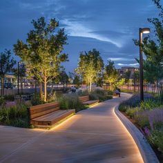 an empty park with benches and trees lit up by lights on the walkway at night