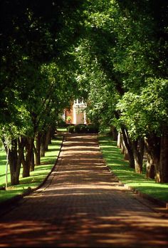 a road lined with trees and grass in front of a white house on the other side