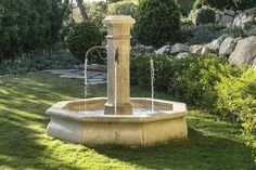 a water fountain in the middle of a garden