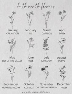 an image of flowers that are in the month of march